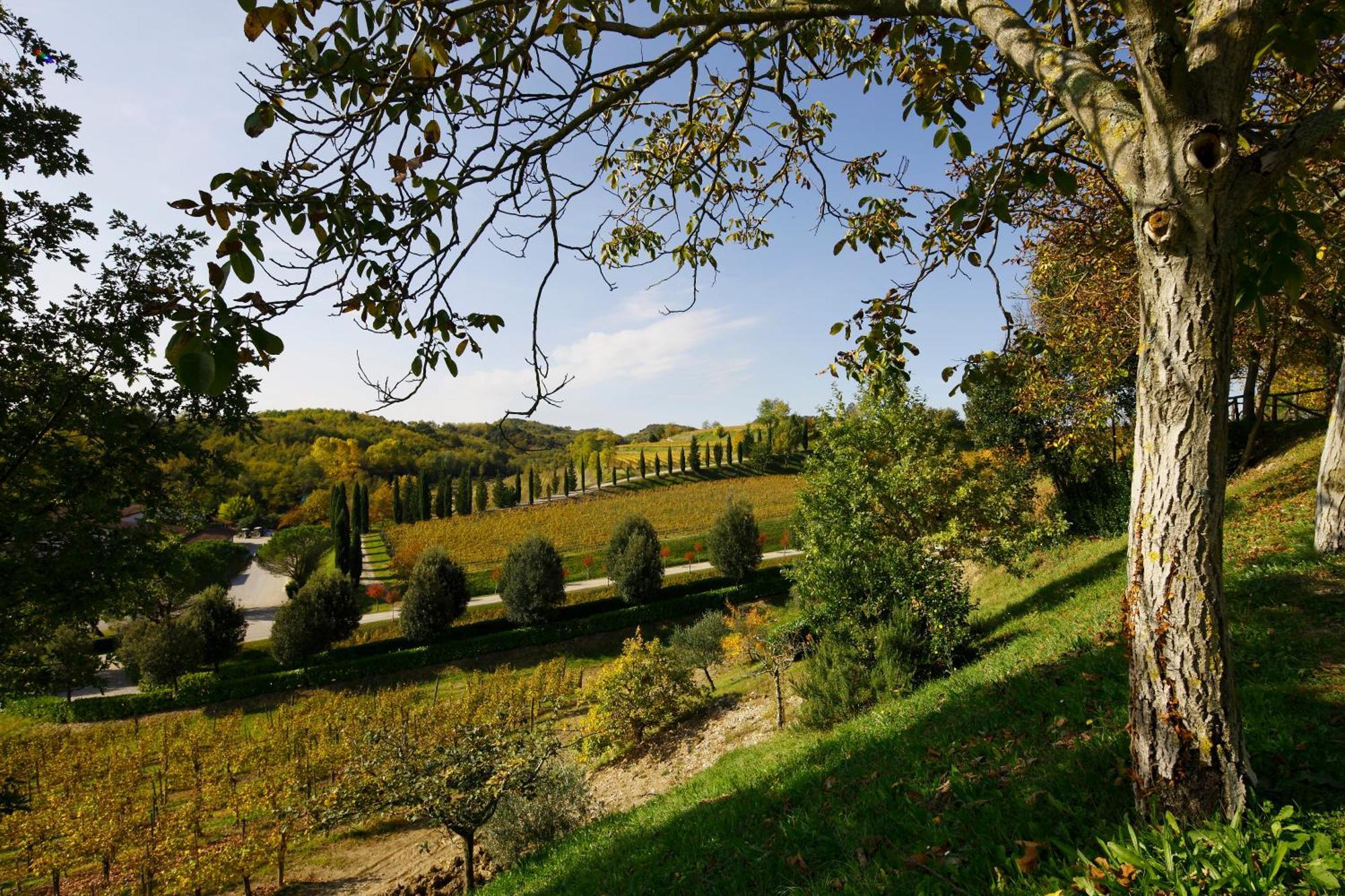 Relais Russiz Superiore Capriva del Friuli Ngoại thất bức ảnh
